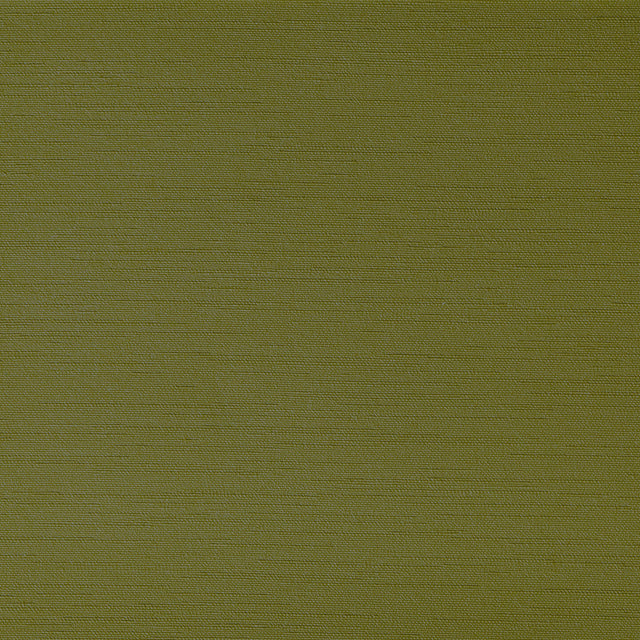 Kravet CLUTCH GRASSHOPER Upholstery Fabric