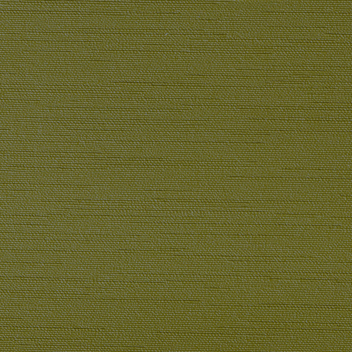 Kravet CLUTCH GRASSHOPER Upholstery Fabric