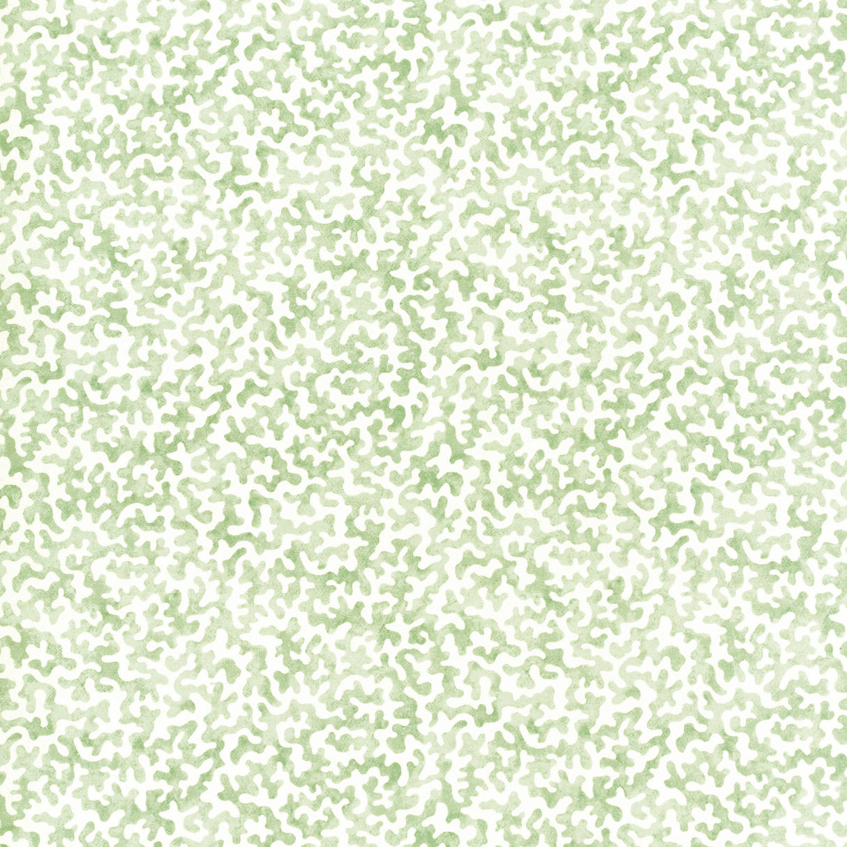 Kravet CORALCOAST SAGE Fabric