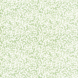 Kravet CORALCOAST SAGE Fabric