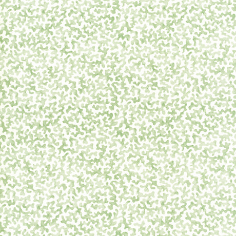 Kravet CORALCOAST SAGE Fabric