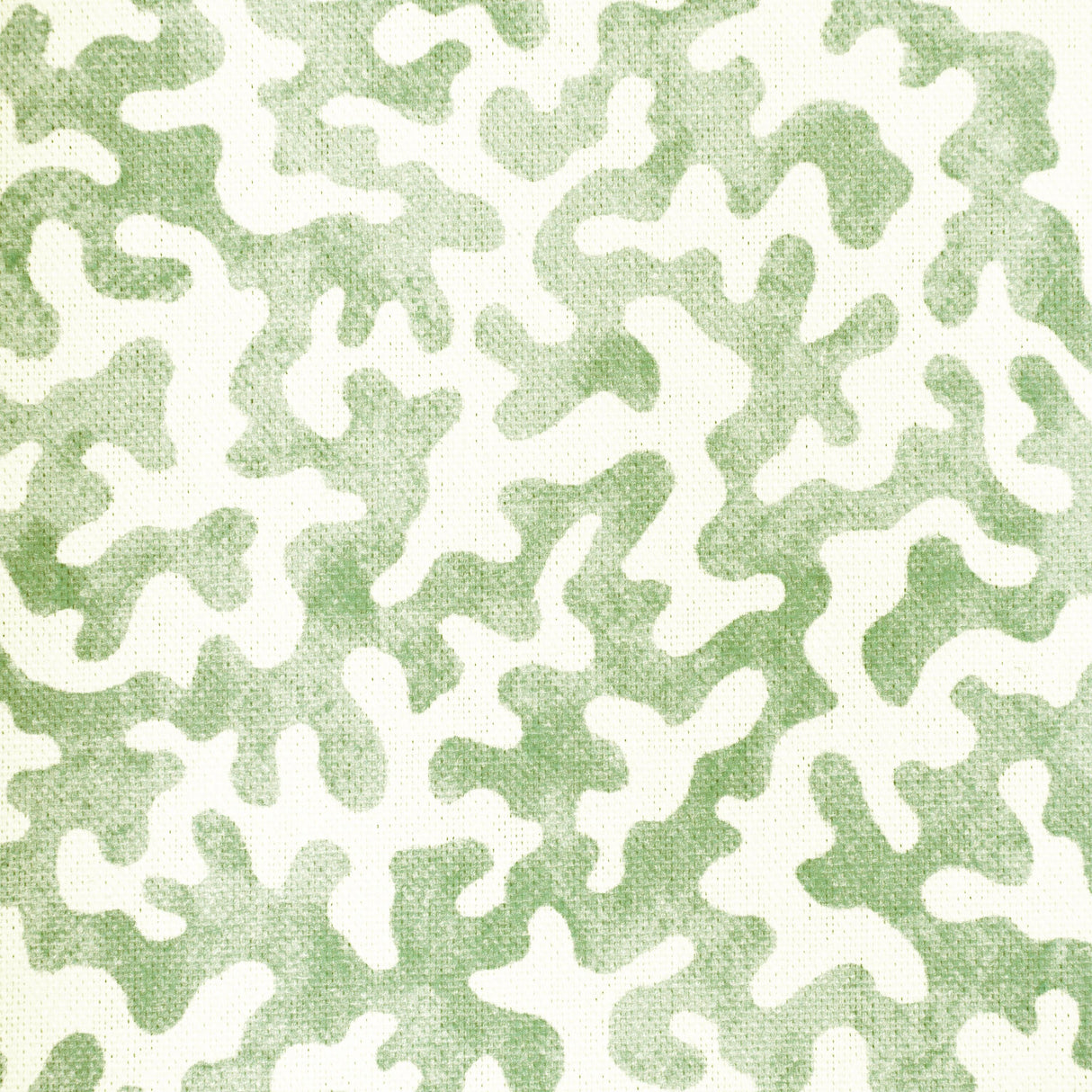 Kravet CORALCOAST SAGE Fabric