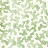 Kravet CORALCOAST SAGE Fabric