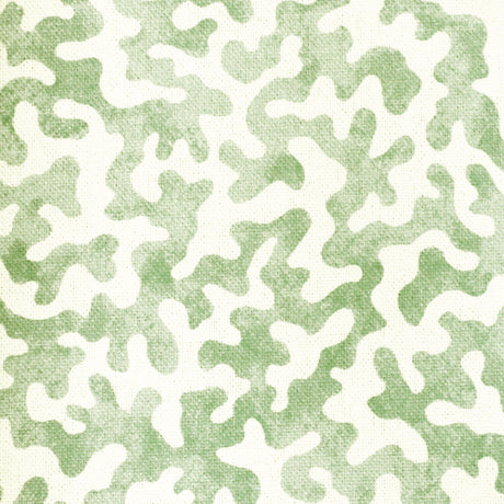 Kravet CORALCOAST SAGE Fabric
