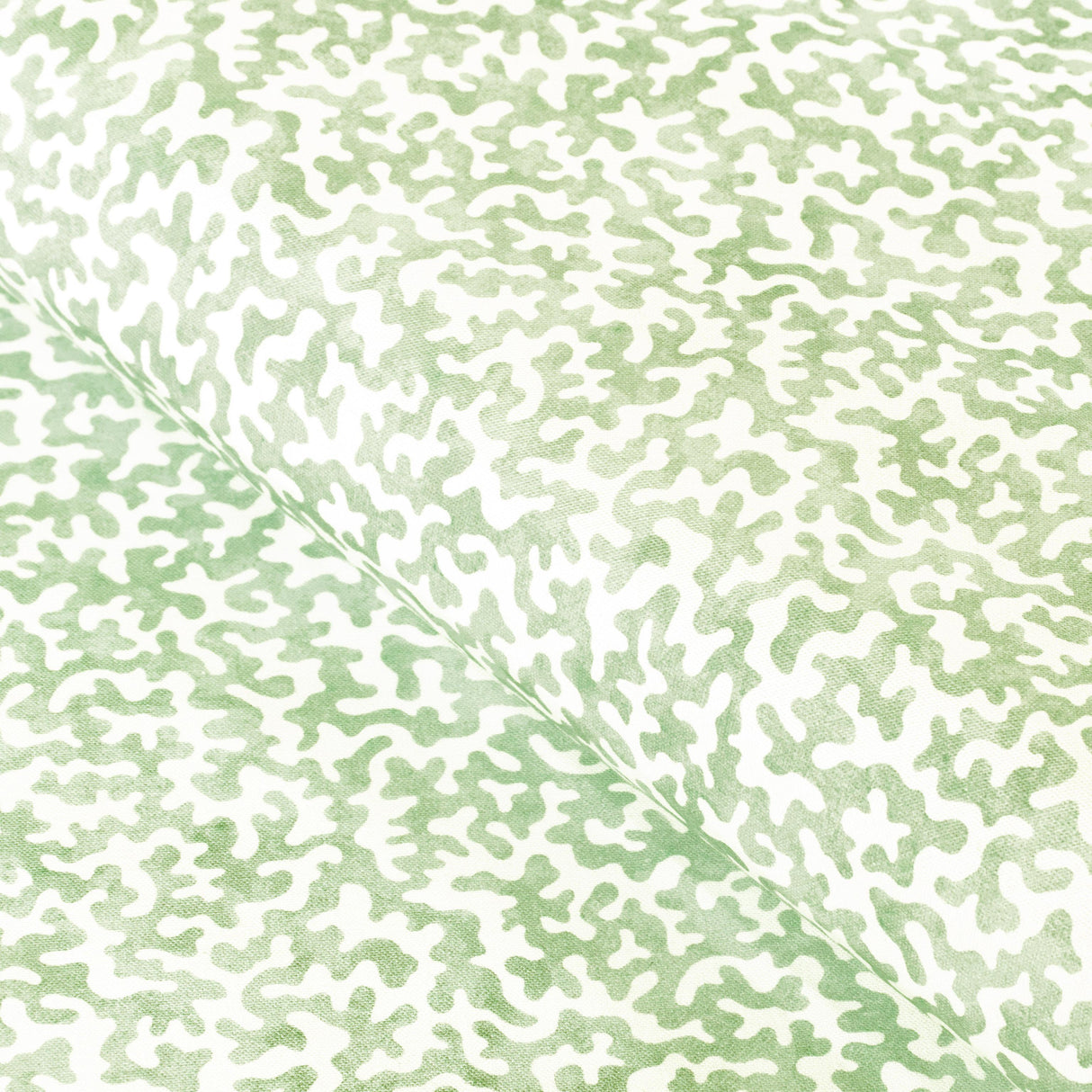 Kravet CORALCOAST SAGE Fabric