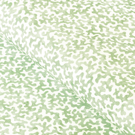 Kravet CORALCOAST SAGE Fabric