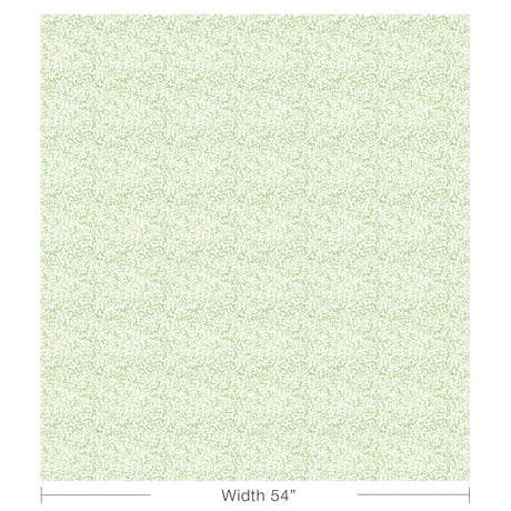 Kravet CORALCOAST SAGE Fabric