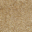 Donghia ASTRAKHAN WHEATBERRY Upholstery Fabric