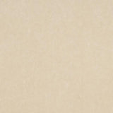 Donghia CRAZY LOVE CREAM Upholstery Fabric