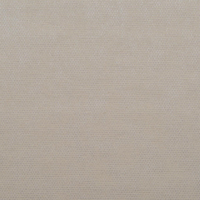 Donghia FALCON CREAM Drapery Fabric