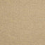 Threads ODE PARCHMENT Fabric