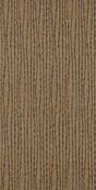 Threads VENTRIS CHARCOAL/BRONZE Wallpaper