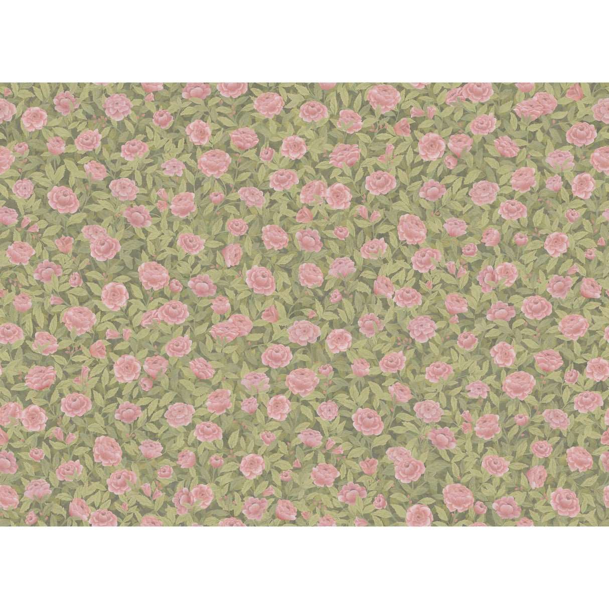 Cole & Son IDYLL ROSES LINEN BLUSH Fabric