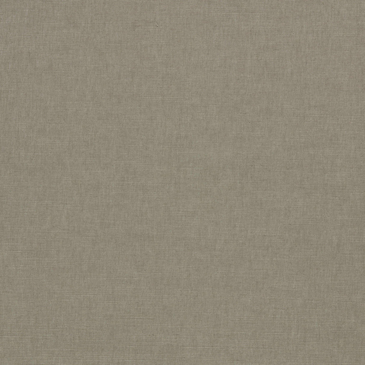 Clarke & Clarke PARADISO ASH Fabric