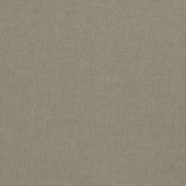 Clarke & Clarke PARADISO ASH Fabric