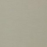 Clarke & Clarke PARADISO DOVE Fabric