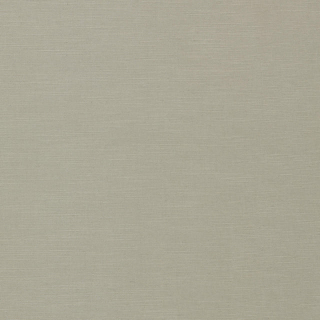 Clarke & Clarke PARADISO DOVE Fabric