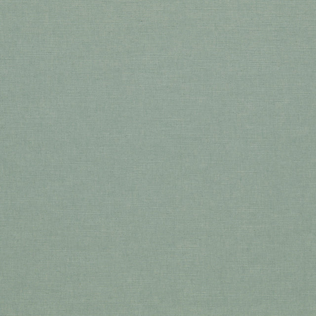 Clarke & Clarke PARADISO MINERAL Fabric