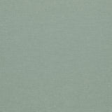 Clarke & Clarke PARADISO MINERAL Fabric