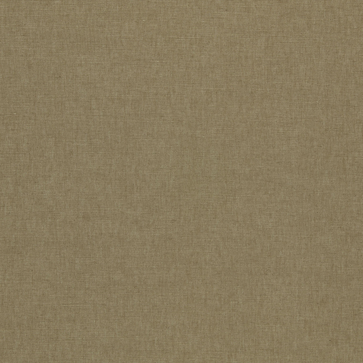 Clarke & Clarke PARADISO SESAME Fabric