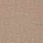 Clarke & Clarke TECIDO SPICE/SAGE Upholstery Fabric