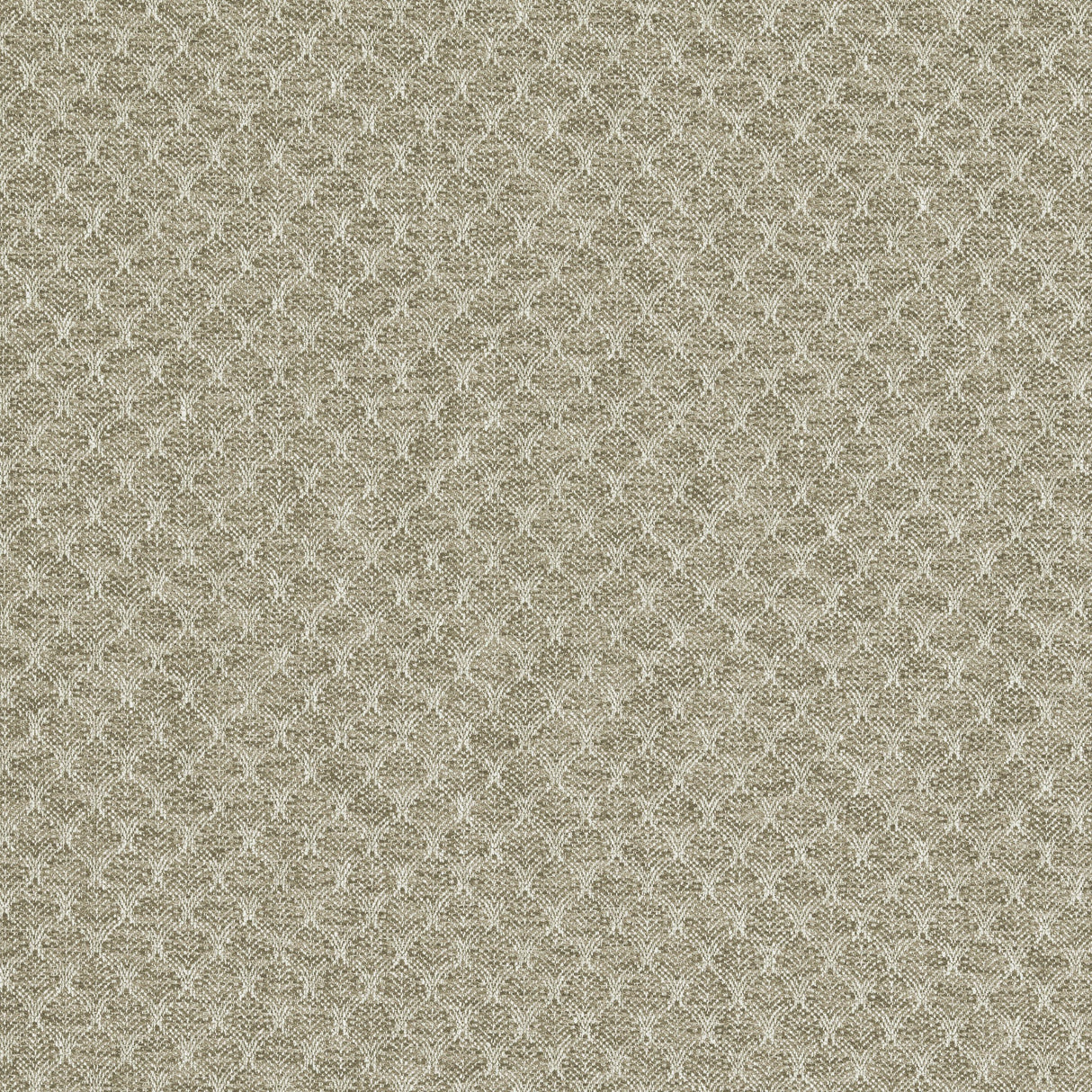 Clarke & Clarke TRELICA NATURAL Upholstery Fabric