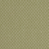 Clarke & Clarke TRELICA OLIVE Upholstery Fabric