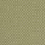 Clarke & Clarke TRELICA OLIVE Upholstery Fabric