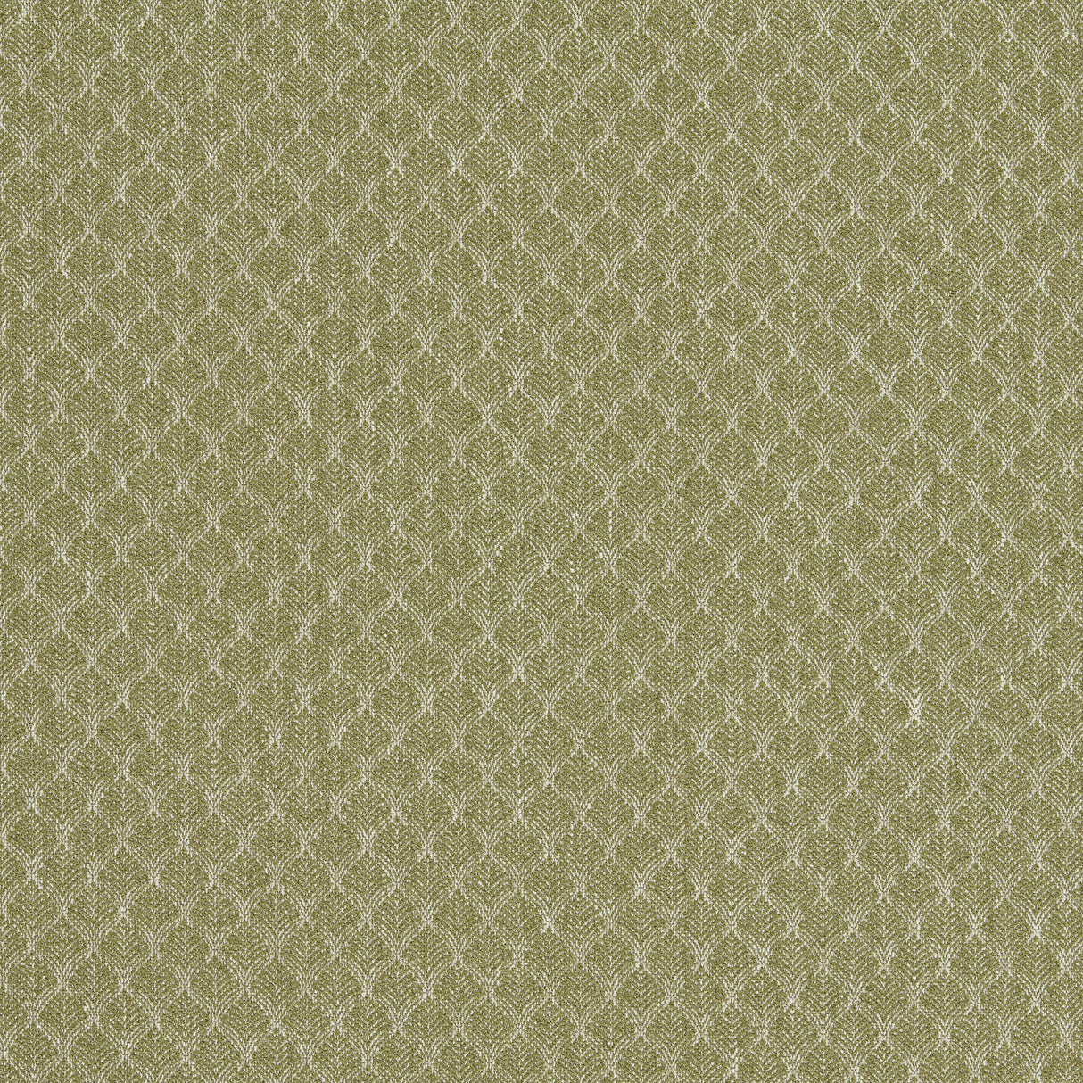 Clarke & Clarke TRELICA OLIVE Upholstery Fabric