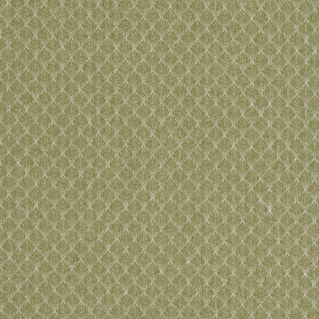 Clarke & Clarke TRELICA OLIVE Upholstery Fabric
