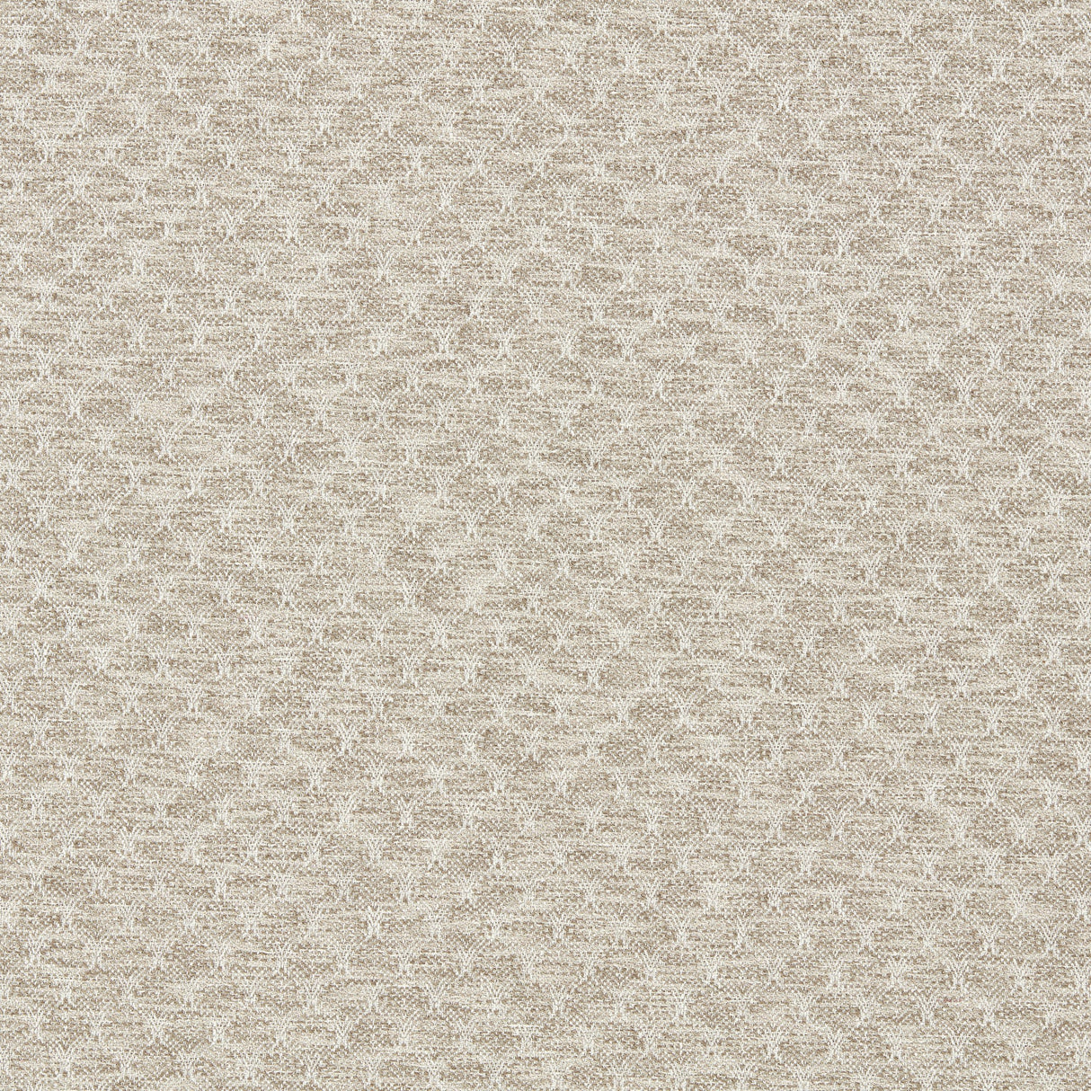 Clarke & Clarke TRELICA PEBBLE Upholstery Fabric