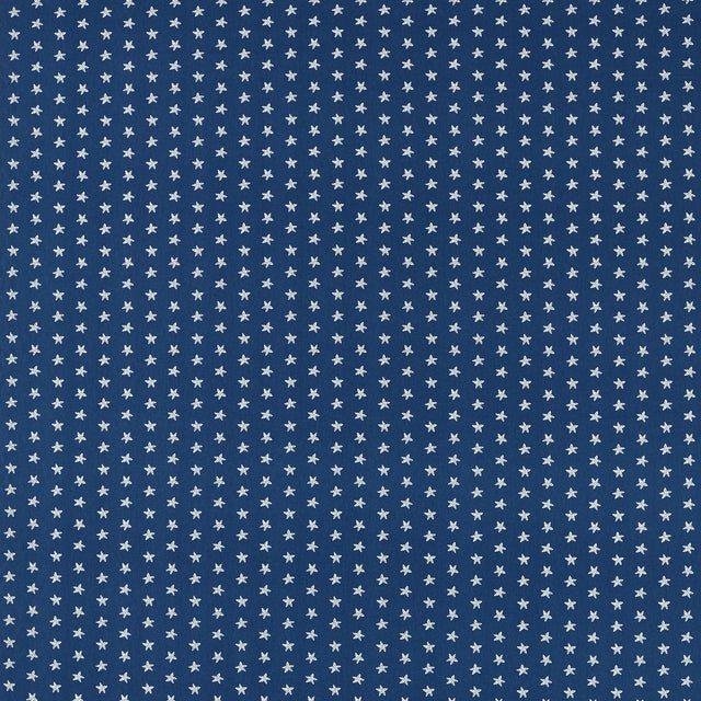 Clarke & Clarke SEASTAR NAVY Fabric