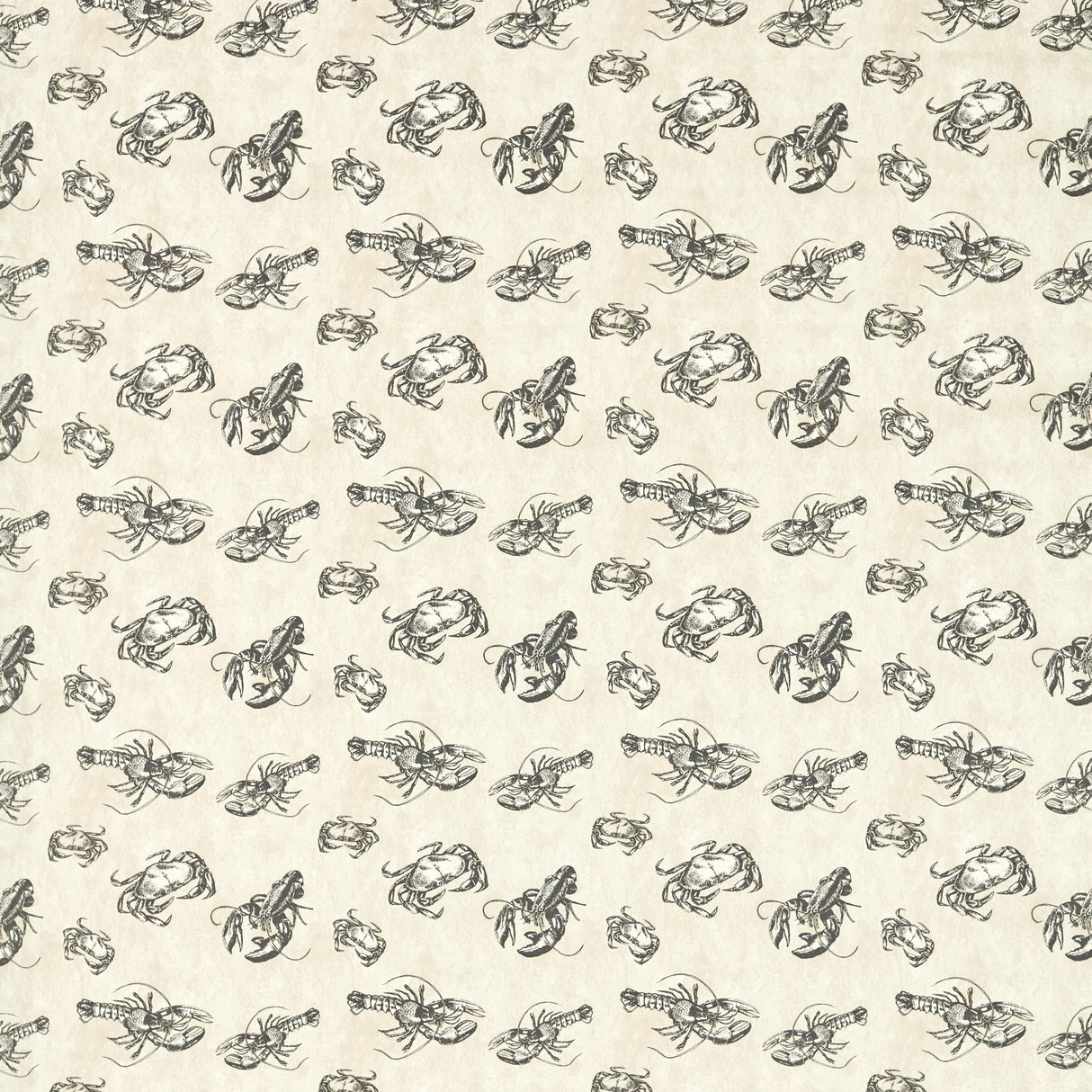 Clarke & Clarke SHELLFISH CHARCOAL Fabric