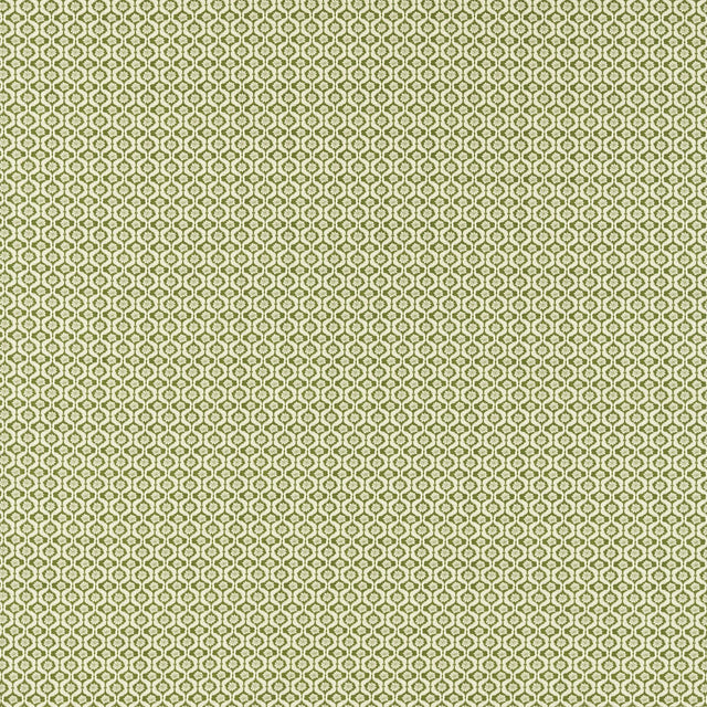 Clarke & Clarke GIVERNY SAGE Fabric