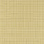 Clarke & Clarke GIVERNY MUSTARD Fabric