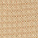 Clarke & Clarke GIVERNY SPICE Fabric