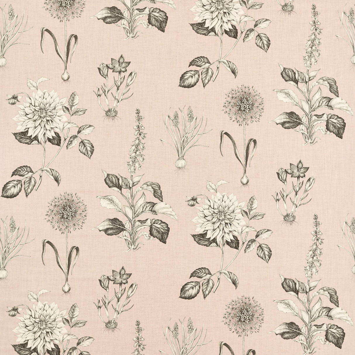 Clarke & Clarke ROSERAIE BLUSH Fabric
