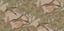 Mulberry GRAND FLYING DUCKS PLASTER Wallpaper