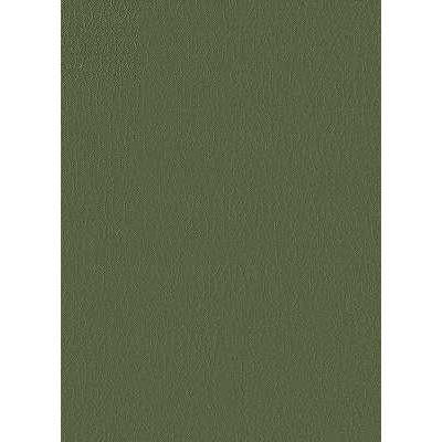 Kravet DESIGN FORTUNE 30 Upholstery Fabric