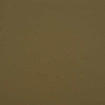 Kravet DESIGN GATO 30 Upholstery Fabric