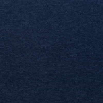 Kravet DESIGN GATO 50 Upholstery Fabric