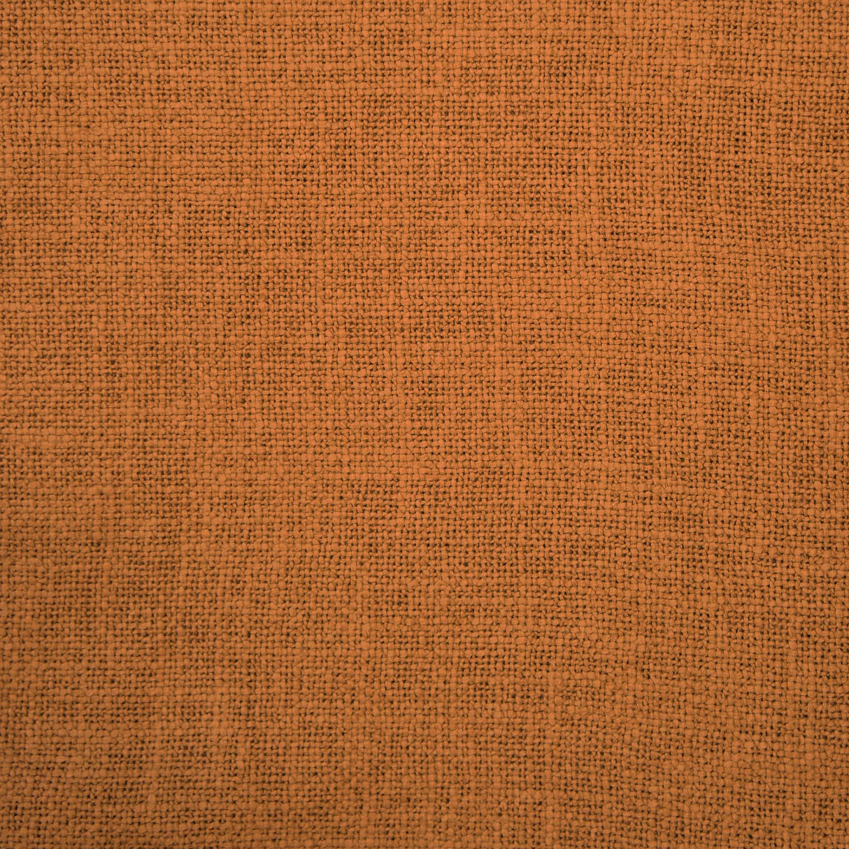 Gaston Y Daniela BELLVER CALABAZA Drapery Fabric