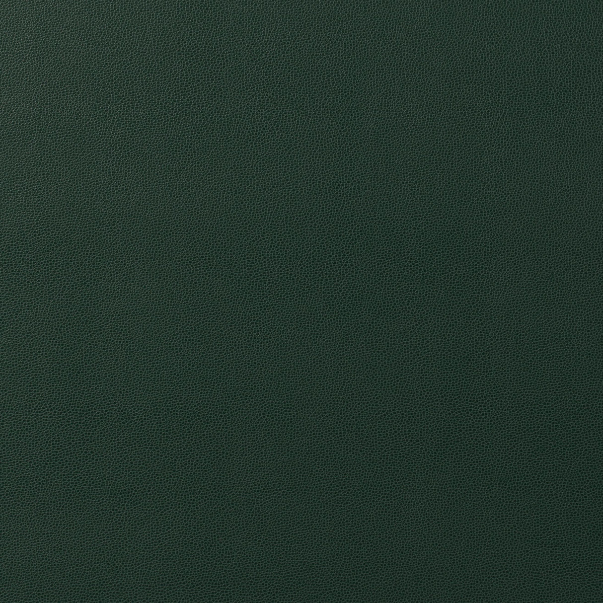 Kravet DESIGN GILLIAN 30 Upholstery Fabric