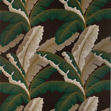 Kravet ISLA ROYAL CACAO Fabric