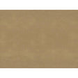 Brunschwig & Fils SUKHOTHAI TAN Drapery Fabric