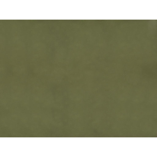 Brunschwig & Fils SUKHOTHAI OLIVE Drapery Fabric