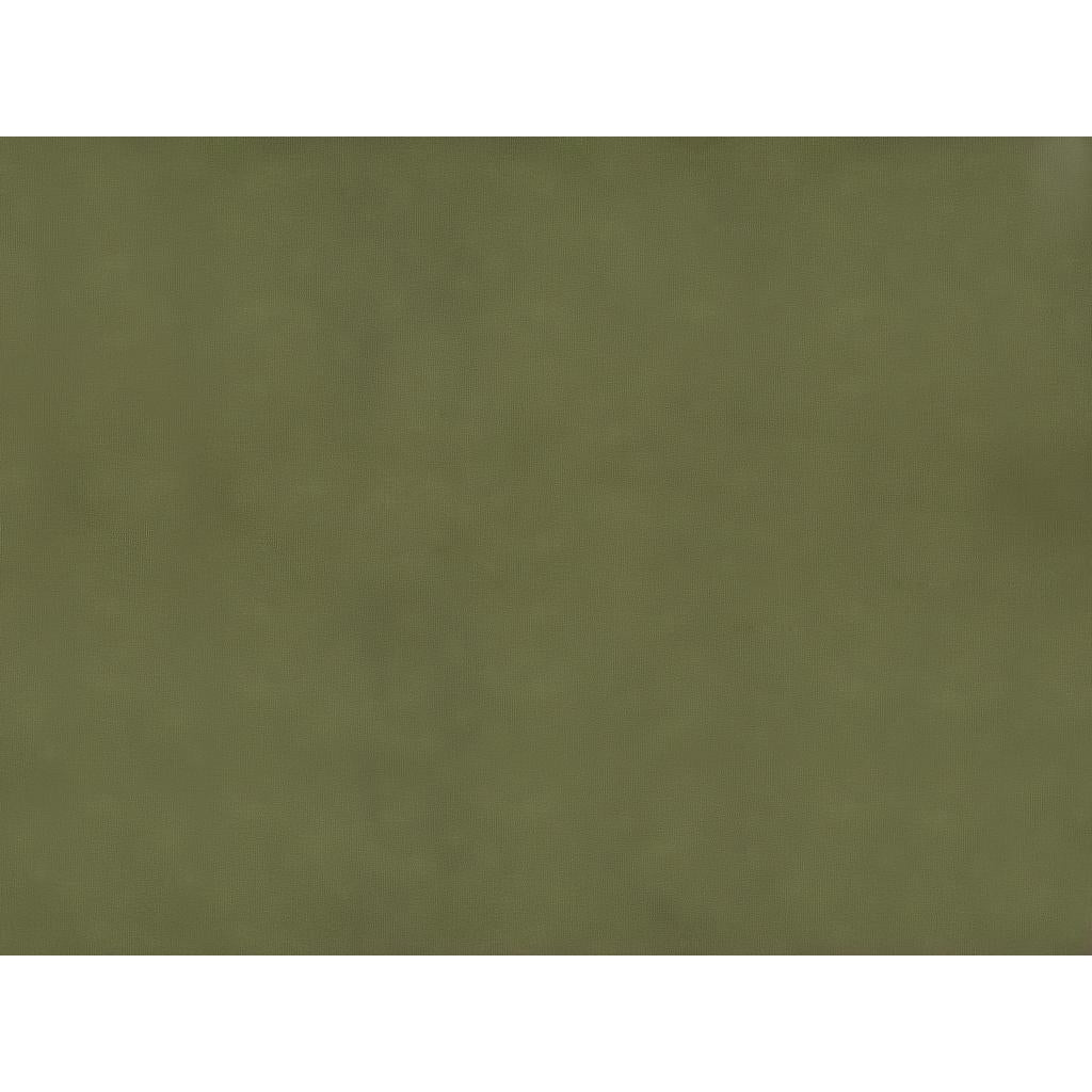 Brunschwig & Fils SUKHOTHAI OLIVE Drapery Fabric