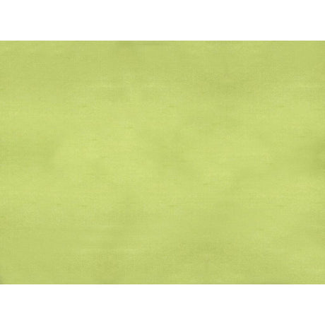 Brunschwig & Fils SUKHOTHAI LEMON GREEN Drapery Fabric