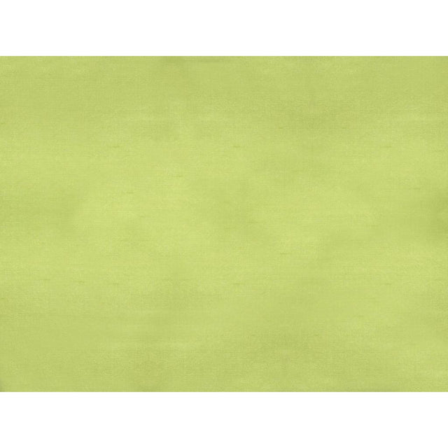 Brunschwig & Fils SUKHOTHAI LEMON GREEN Drapery Fabric