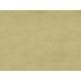 Brunschwig & Fils SUKHOTHAI LEMON YELLOW Drapery Fabric